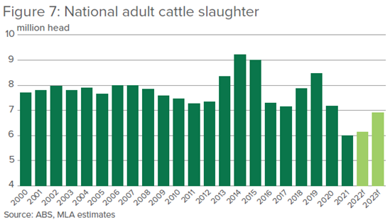 bar char shoing actual and forecast annual cattle slaughter in Australia
